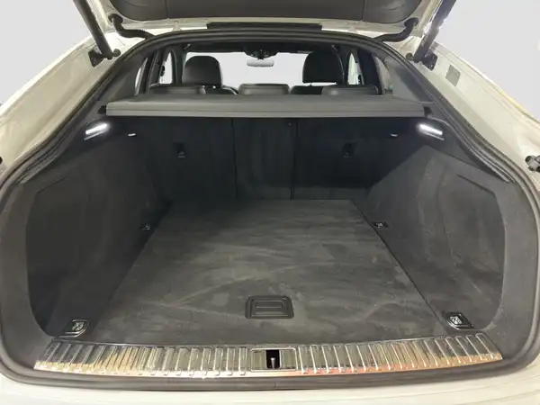 AUDI E-TRON (13/17)