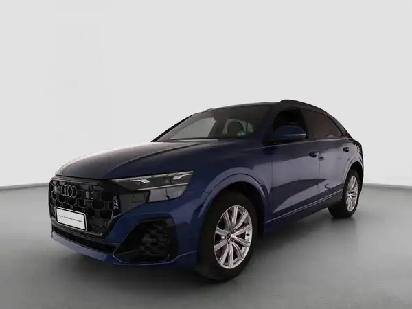 AUDI Q8 (1/4)