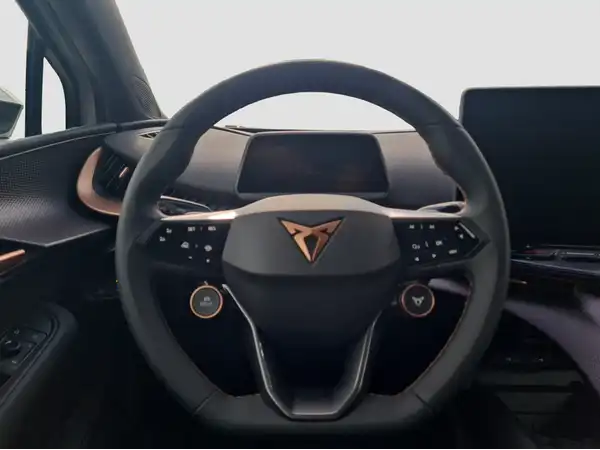CUPRA TAVASCAN (11/16)