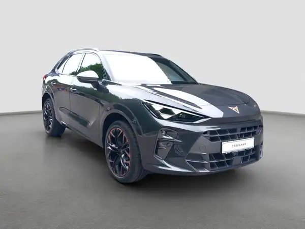 CUPRA TERRAMAR (4/16)