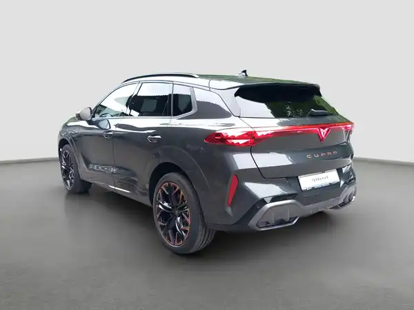 CUPRA TERRAMAR (7/16)