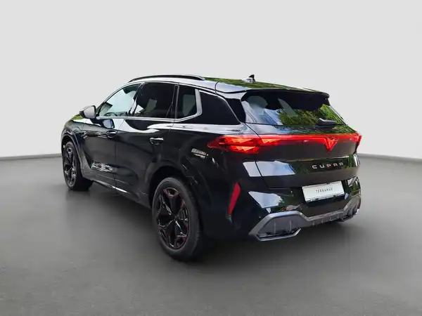 CUPRA TERRAMAR (7/16)