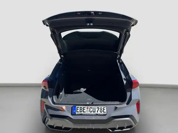 CUPRA TERRAMAR (11/13)