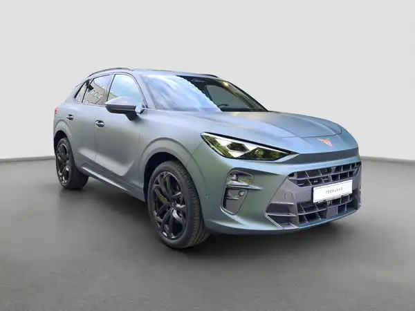 CUPRA TERRAMAR (4/17)
