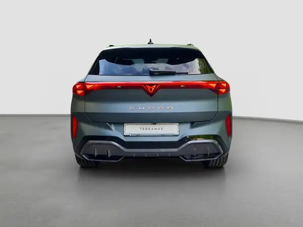 CUPRA TERRAMAR (6/17)