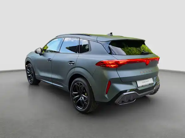 CUPRA TERRAMAR (7/17)