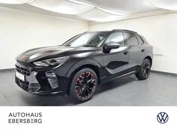CUPRA TERRAMAR (2/19)