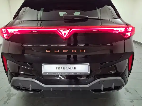 CUPRA TERRAMAR (14/19)
