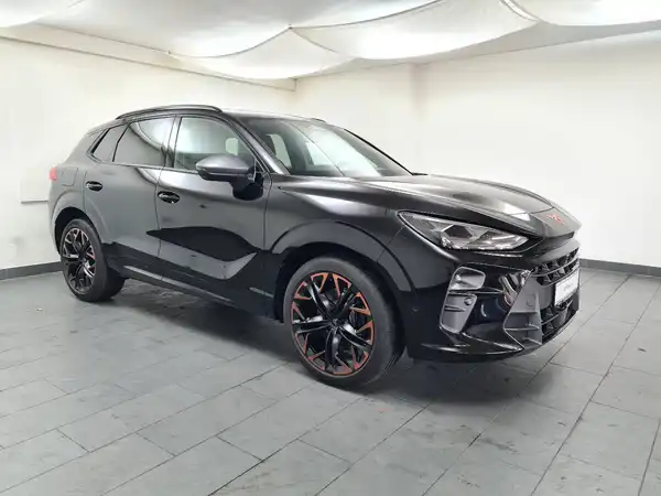 CUPRA TERRAMAR (4/19)
