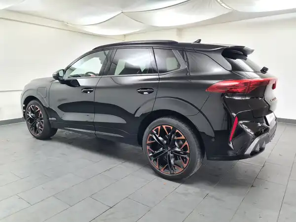 CUPRA TERRAMAR (5/19)