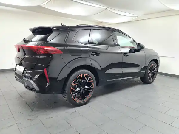 CUPRA TERRAMAR (7/19)