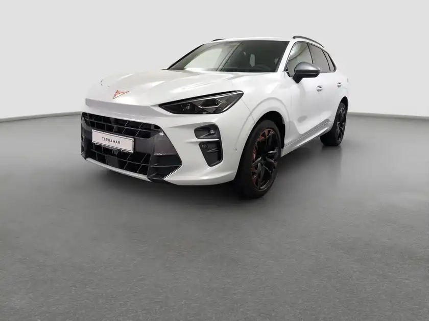 CUPRA TERRAMAR (1/17)