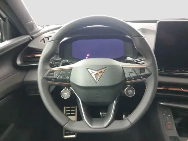 CUPRA TERRAMAR (11/17)