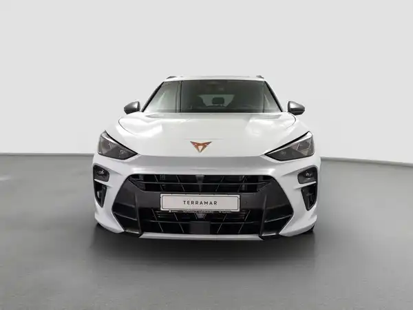 CUPRA TERRAMAR (3/17)