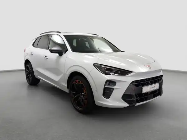 CUPRA TERRAMAR (4/17)