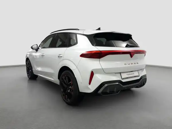 CUPRA TERRAMAR (7/17)