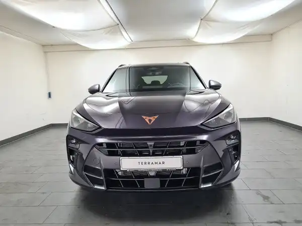 CUPRA TERRAMAR (3/16)