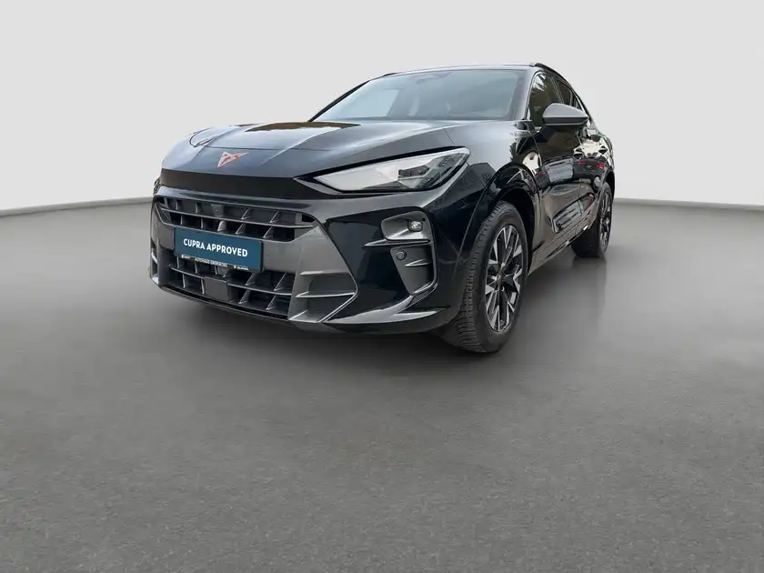 CUPRA TERRAMAR (1/16)