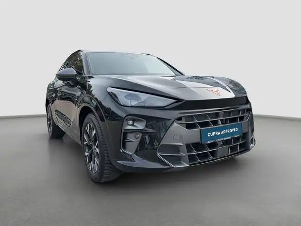 CUPRA TERRAMAR (4/16)