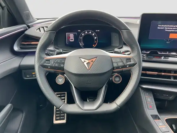 CUPRA TERRAMAR (11/16)