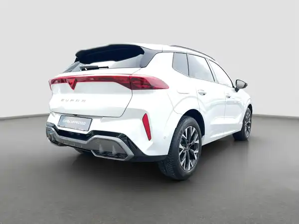 CUPRA TERRAMAR (5/16)