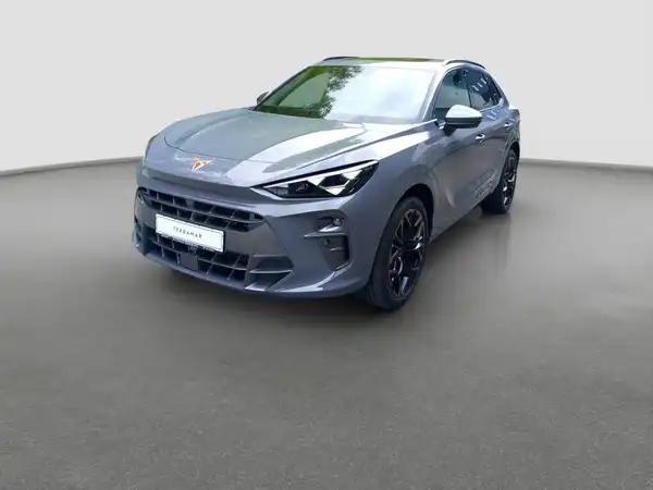 CUPRA TERRAMAR (1/17)