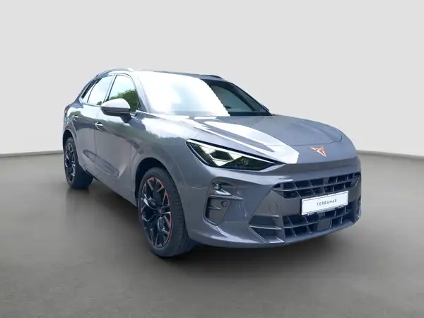 CUPRA TERRAMAR (4/17)