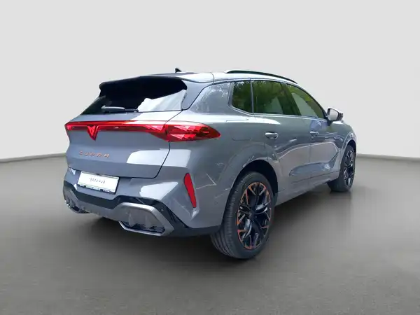 CUPRA TERRAMAR (5/17)