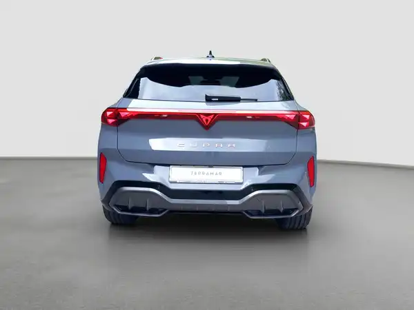 CUPRA TERRAMAR (6/17)