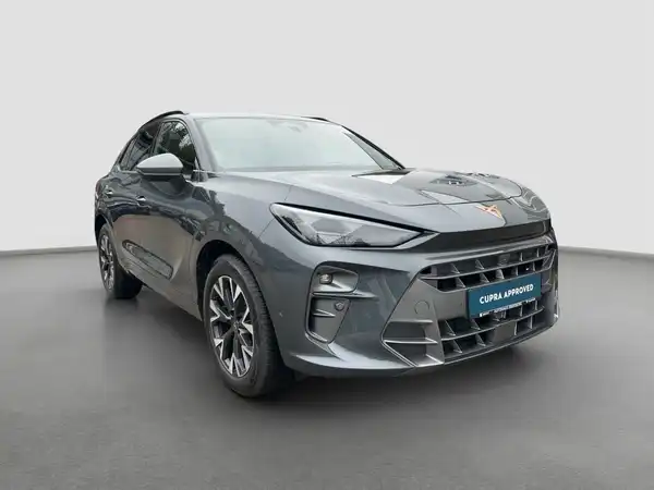 CUPRA TERRAMAR (3/15)