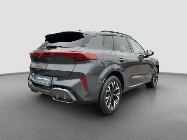 CUPRA TERRAMAR (4/15)