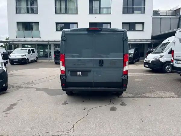 FIAT DUCATO (6/19)