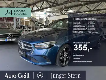 MERCEDES-BENZ B 250 (1/17)