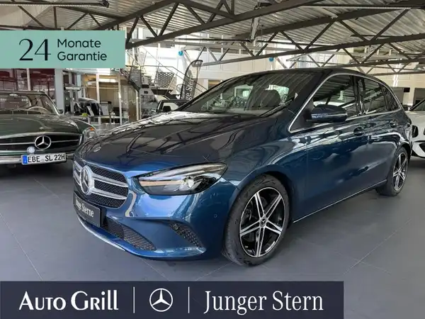 MERCEDES-BENZ B 250 (2/17)