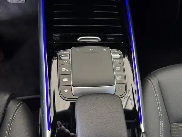 MERCEDES-BENZ B 250 (17/17)