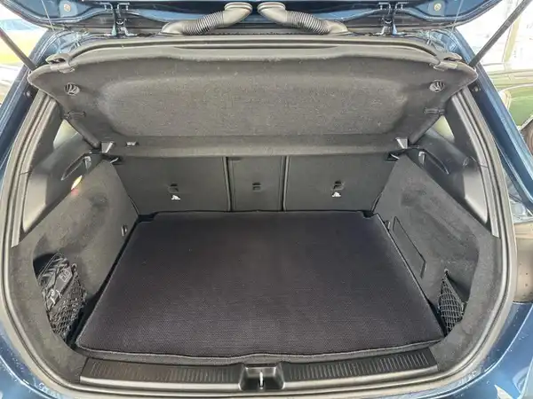 MERCEDES-BENZ B 250 (10/17)