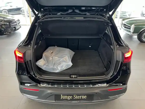MERCEDES-BENZ EQA (13/25)