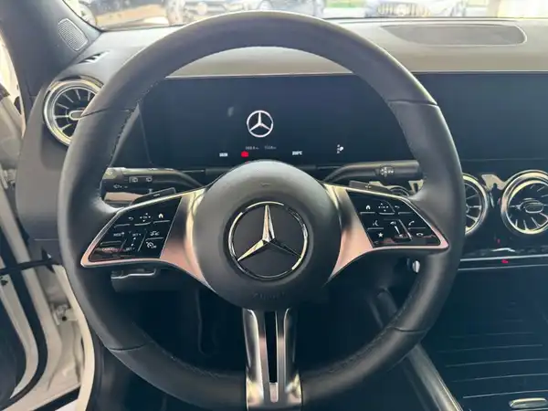 MERCEDES-BENZ EQA (16/18)