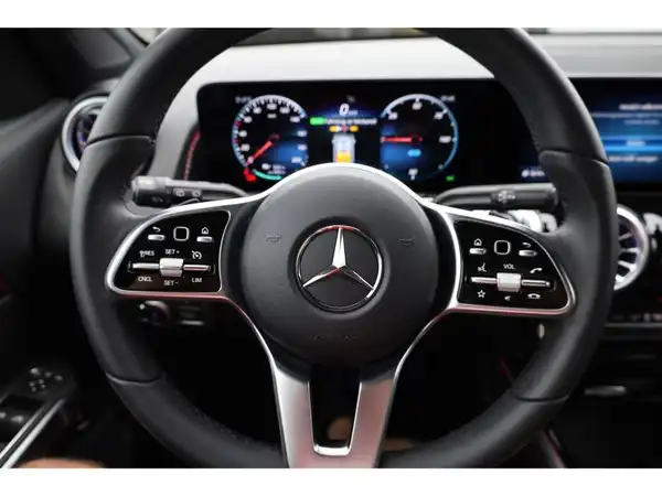 MERCEDES-BENZ R-KLASSE (14/24)