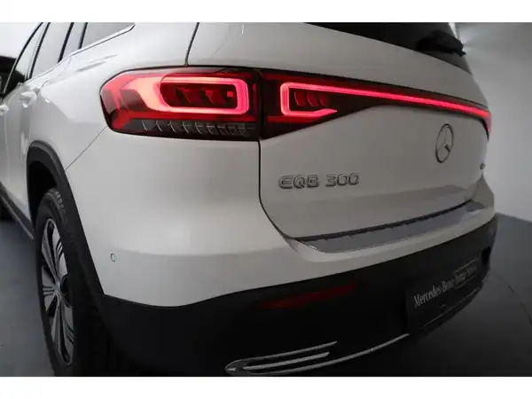 MERCEDES-BENZ R-KLASSE (24/24)