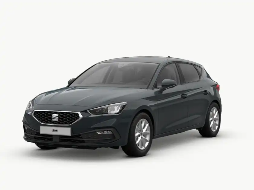 Seat Leon Road Edition (1/3)