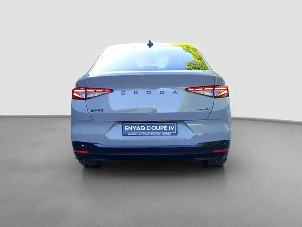 ŠKODA ENYAQ (6/17)
