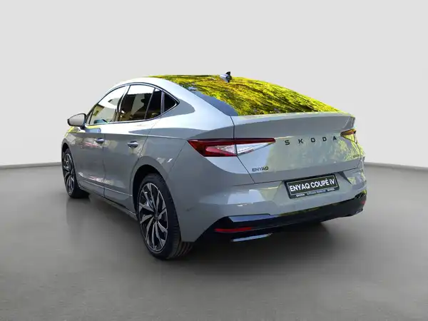 ŠKODA ENYAQ (7/17)