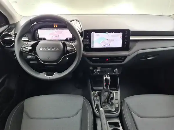 ŠKODA FABIA (10/17)