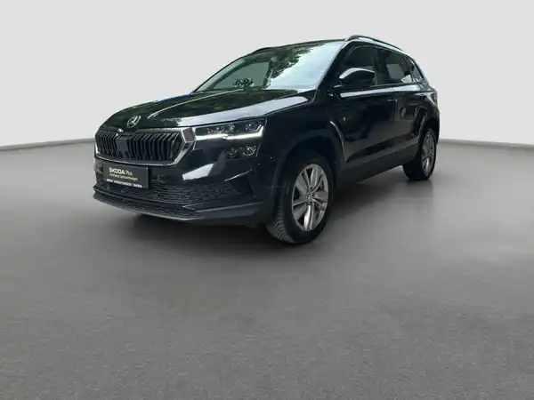 ŠKODA KAROQ (1/16)