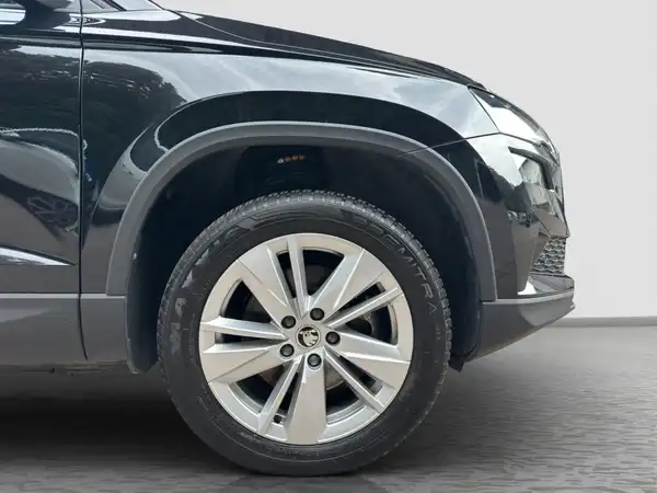 ŠKODA KAROQ (16/16)
