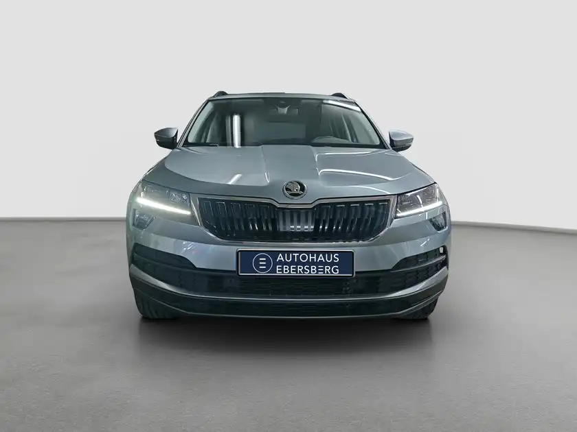 ŠKODA KAROQ (1/16)
