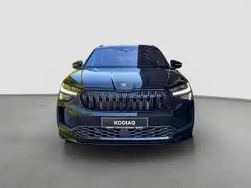 ŠKODA KODIAQ (1/17)