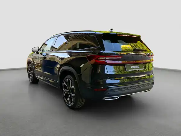 ŠKODA KODIAQ (6/16)