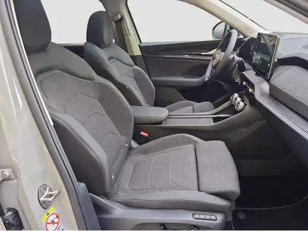 ŠKODA KODIAQ (15/17)